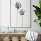 Palms 4850