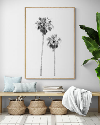 Minimalist palm tree print in black and white, showcasing two tall palm trees against a bright background. This vertical wall art is a coastal palm tree print. Photograph in minimalist mock up.