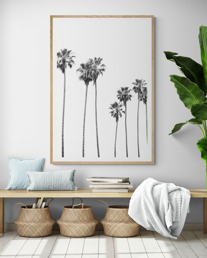 Minimalist palm tree print in black and white, showcasing a line of tall palm trees against a bright background. This vertical wall art is a coastal palm tree print. Photograph in minimalist mock up.