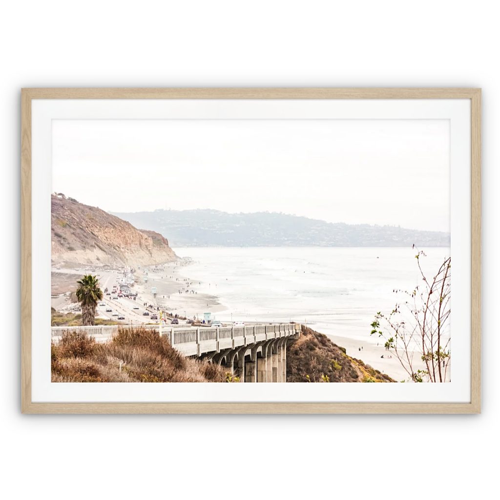 Framed artistic photo of Torrey Pines Beach