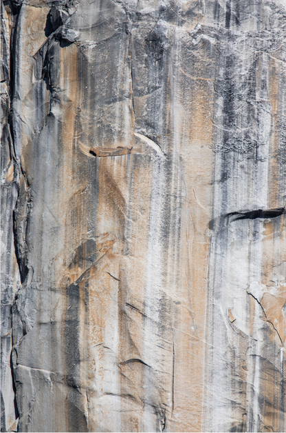 Fine art Yosemite Valley vertical  landscape print by Southern California photographer Kim Dybczak of Salt Creek Prints, featuring a multi colored granite cliff side. 