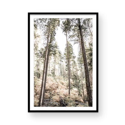 Fine art Yosemite Valley forest vertical  landscape print by Southern California photographer Kim Dybczak of Salt Creek Prints, featuring tall trees. Photograph in minimalist mock up