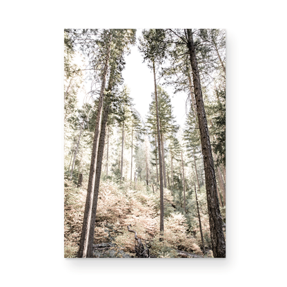 Fine art Yosemite Valley forest vertical  landscape print by Southern California photographer Kim Dybczak of Salt Creek Prints, featuring tall trees.