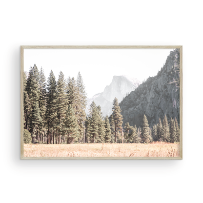 Fine art Yosemite Valley horizontal  landscape print by Southern California photographer Kim Dybczak of Salt Creek Prints, featuring a golden field and granite cliffs with with a valley in the mountains distance. Photograph in minimalist mock up