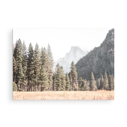 Fine art Yosemite Valley horizontal  landscape print by Southern California photographer Kim Dybczak of Salt Creek Prints, featuring a golden field and granite cliffs with with a valley in the mountains distance. Photograph in minimalist mock up