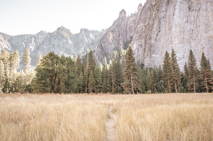 Fine art Yosemite Valley horizontal  landscape print by Southern California photographer Kim Dybczak of Salt Creek Prints, featuring a golden field and granite cliffs with with a valley in the mountains distance.