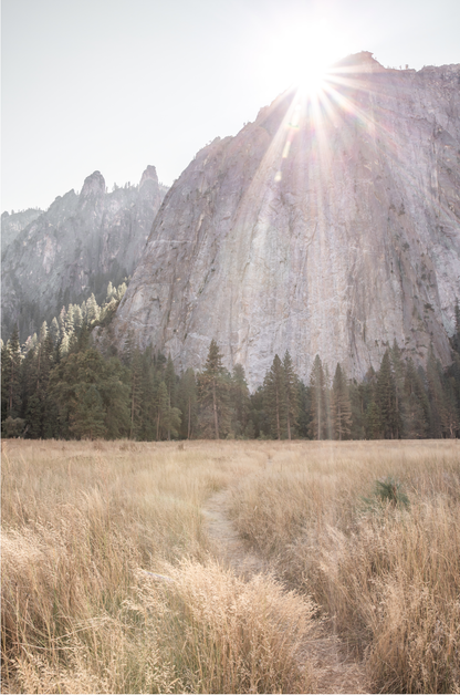 Fine art Yosemite Valley landscape print by Southern California photographer Kim Dybczak of Salt Creek Prints, featuring a golden field and granite cliffs with sunlight streaming over the mountains.