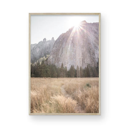 Fine art Yosemite Valley landscape print by Southern California photographer Kim Dybczak of Salt Creek Prints, featuring a golden field and granite cliffs with sunlight streaming over the mountains. Photograph in minimalist mock up