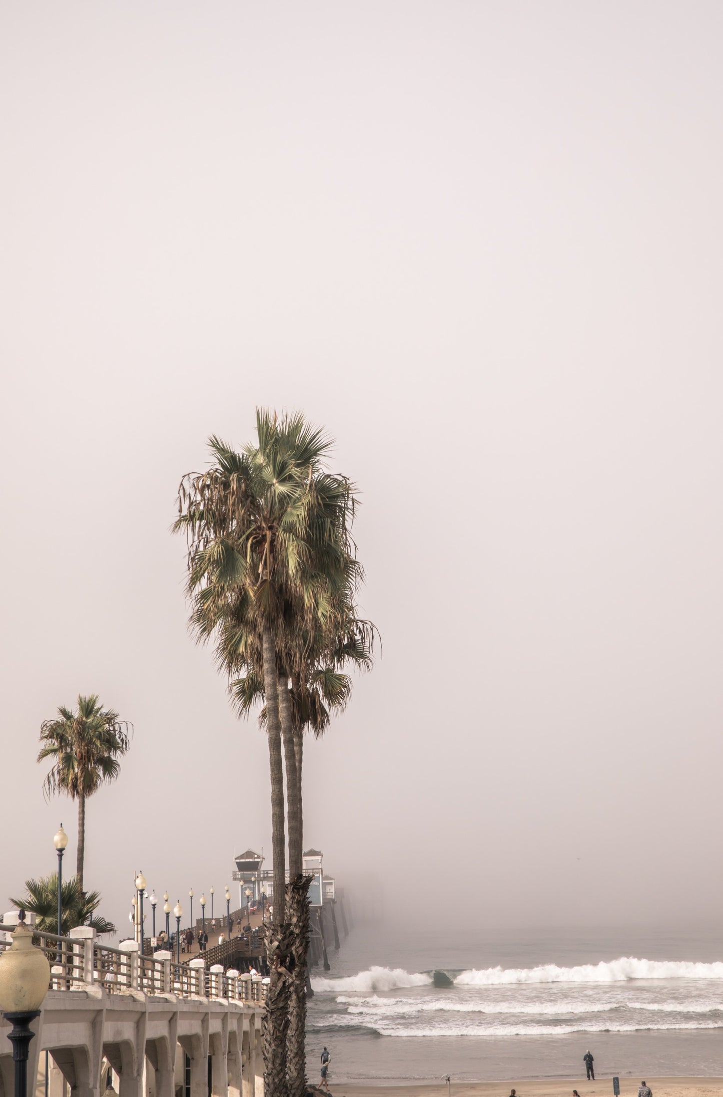Photography by Kim Dybczak of: Huntington Beach Pier rises beside tall palms as waves break along the shore.