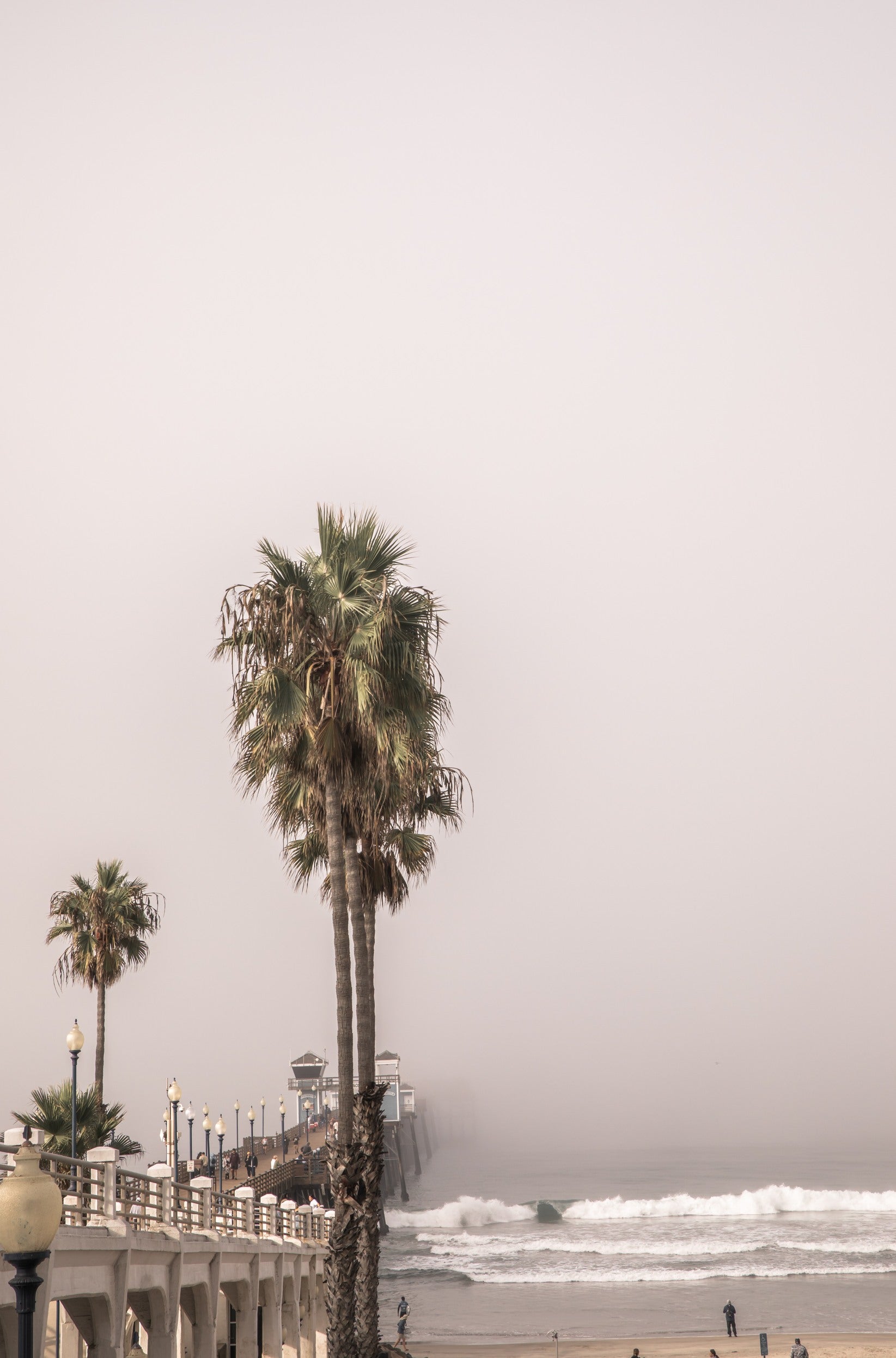 Photography by Kim Dybczak of: Huntington Beach Pier rises beside tall palms as waves break along the shore.