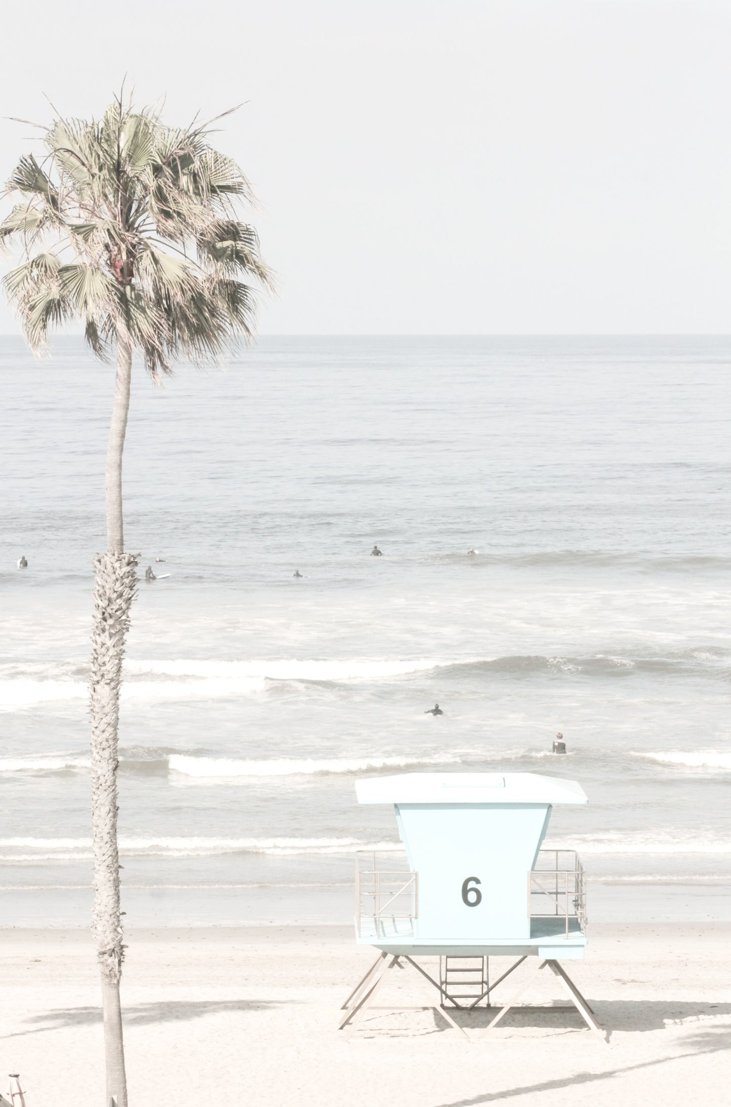 Photography by Kim Dybczak of: A tall palm tree stands near a pastel lifeguard tower along the coast.