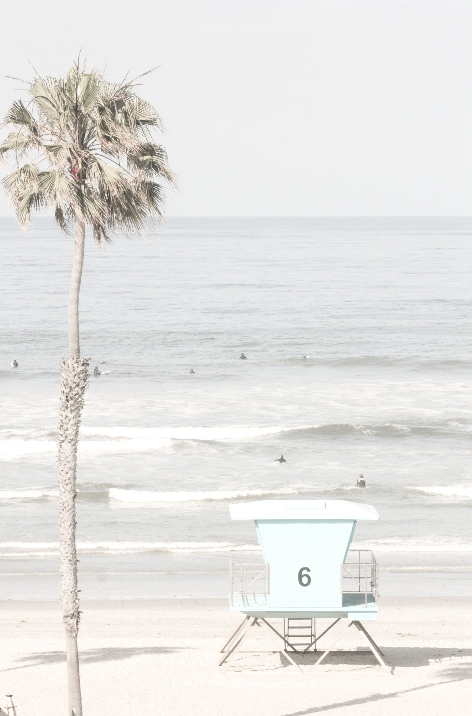 Photography by Kim Dybczak of: A tall palm tree stands near a pastel lifeguard tower along the coast.