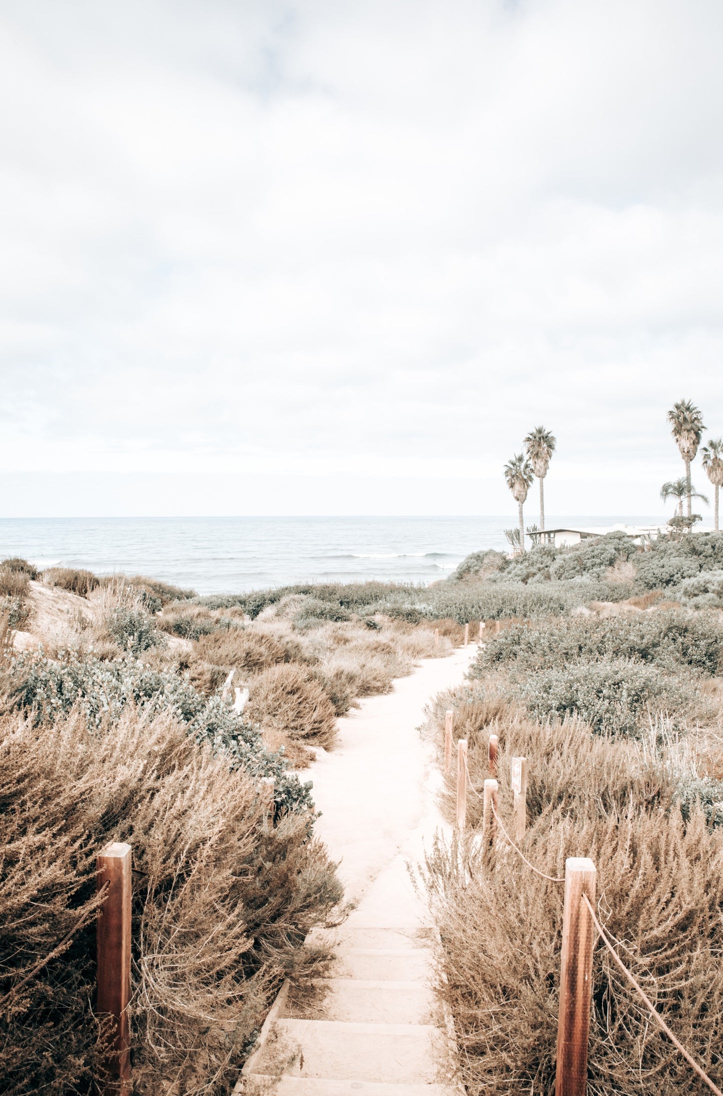 Photography by Kim Dybczak of: Sunset Cliffs pathway with wooden steps leading through dune grass toward the ocean.