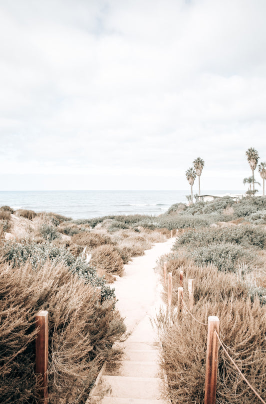 Photography by Kim Dybczak of: Sunset Cliffs pathway with wooden steps leading through dune grass toward the ocean.