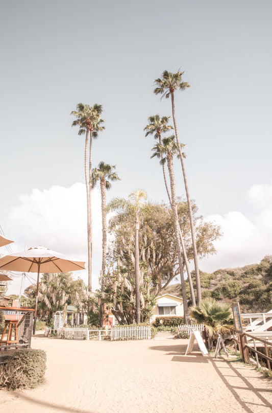 Photography by Kim Dybczak of: Crystal Cove 6372