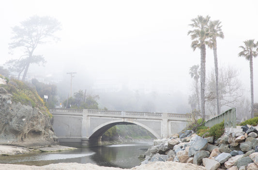 Photography by Kim Dybczak of: Bridge crosses above the beach, linking cliffs to the coast below, softened by coastal haze.