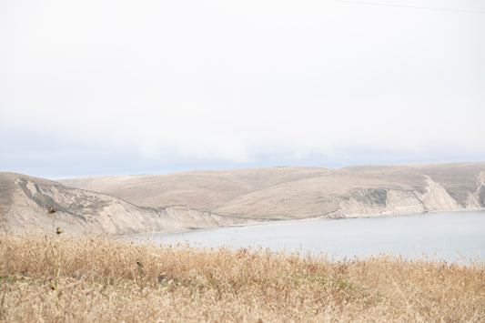 Photography by Salt Creek Prints of: Drakes Bay 7299, The rolling hills of Point Reyes above Drakes Bay, California.