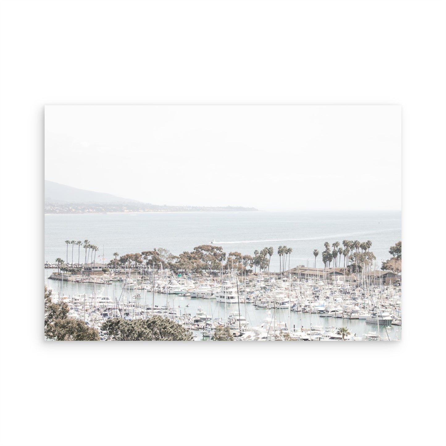 Dana Point 6849