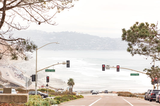 Photography by Kim Dybczak of: Hazy coastal cliffs at Torrey Pines overlooking the Pacific Ocean.