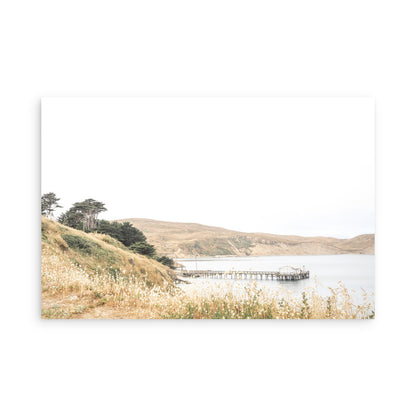 Drakes Bay 7362