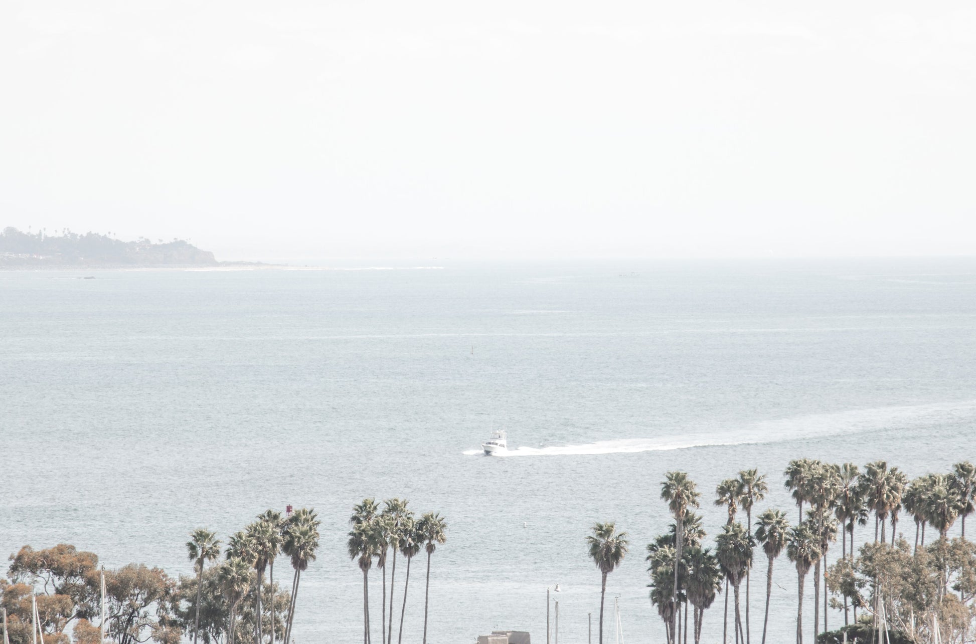 Photography by Kim Dybczak of: A small boat glides across the water near a San Diego beach lined with palm trees.