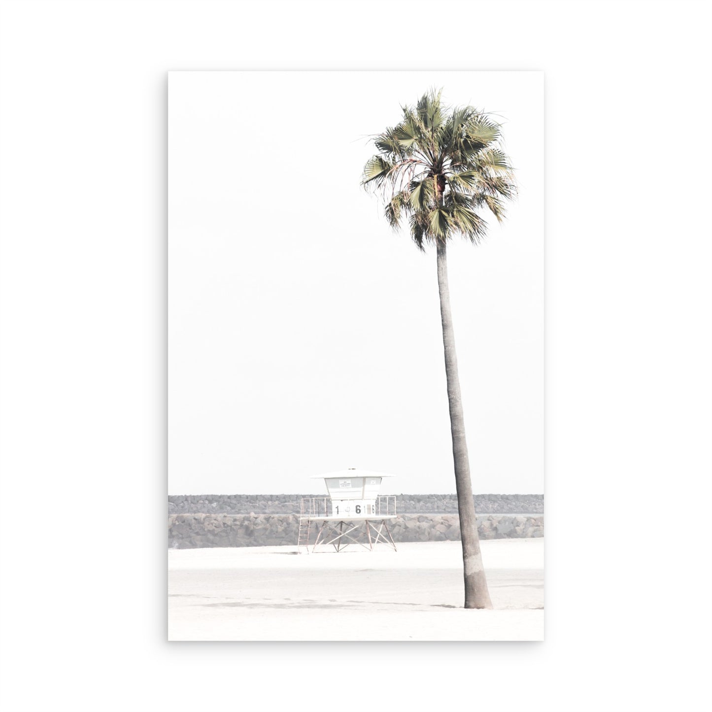 Oceanside 4351