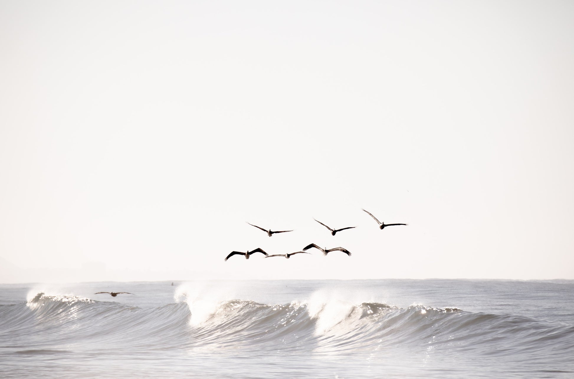 Photography by Kim Dybczak of: Cardiff 4472