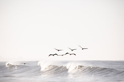 Photography by Kim Dybczak of: Cardiff 4472