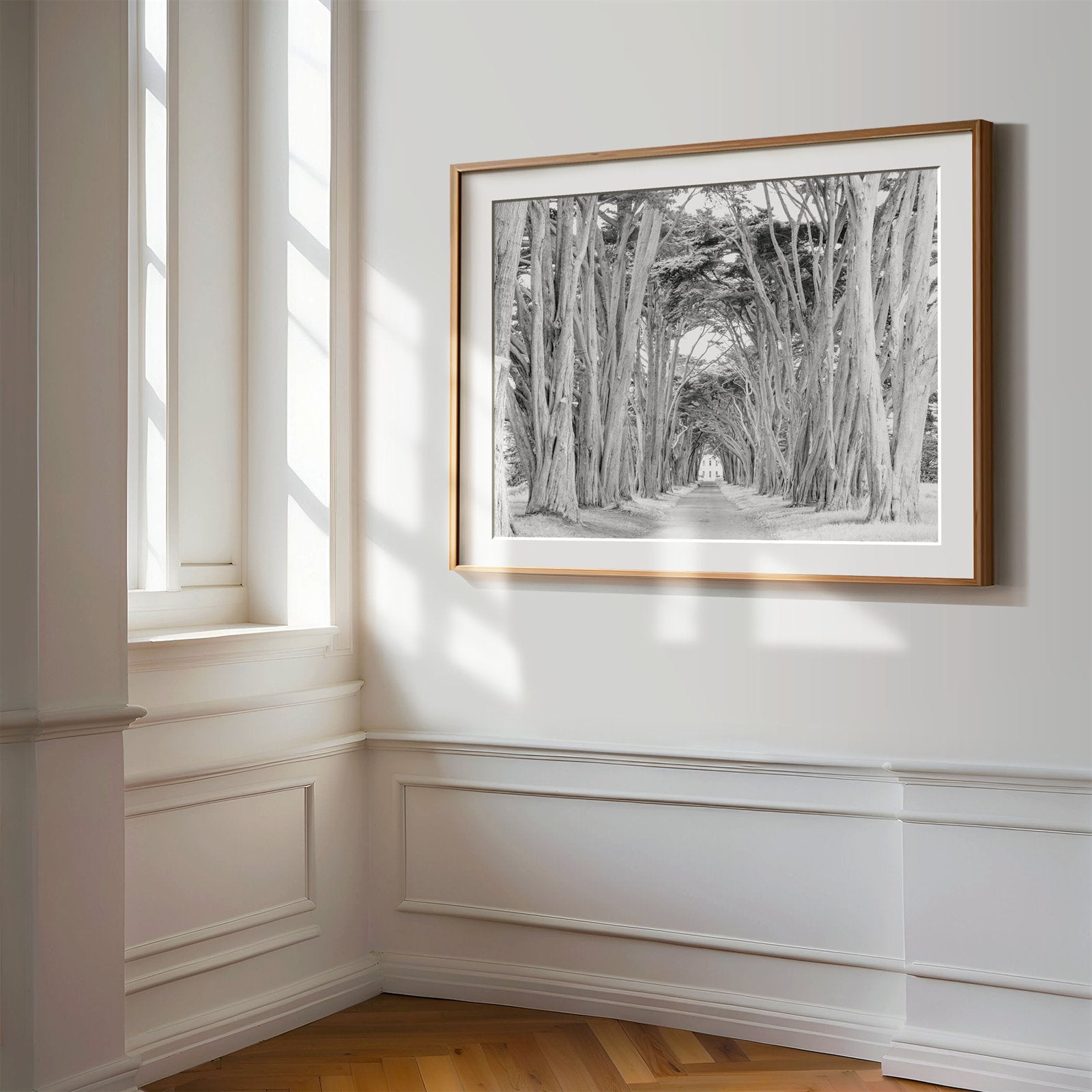 Framed photo of: Cypress Tree Tunnel 7163 on a wall in a luxury hallway. 