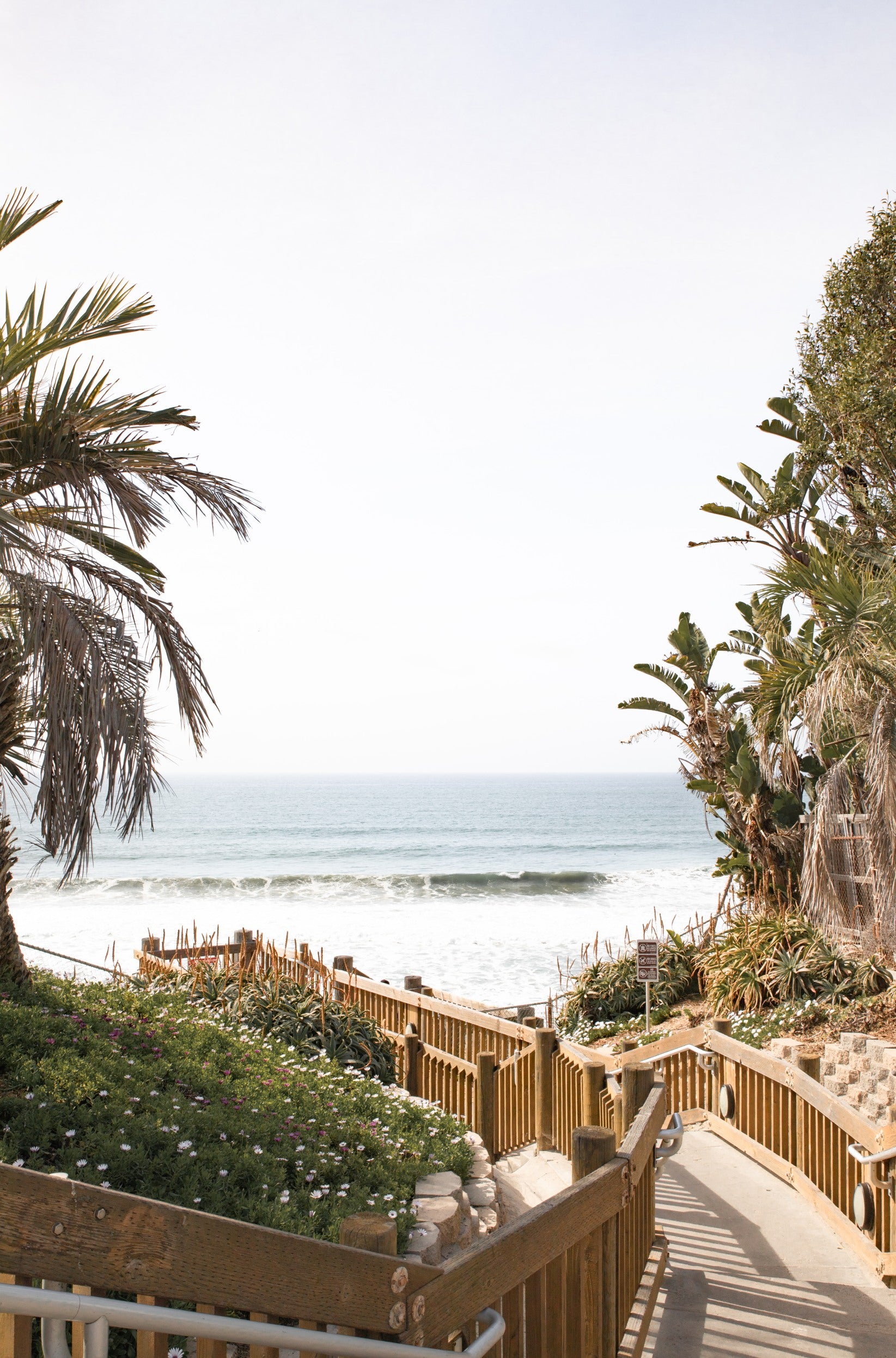 Photography by Kim Dybczak of: A stairway descends toward the beach with palm trees and ocean beyond.