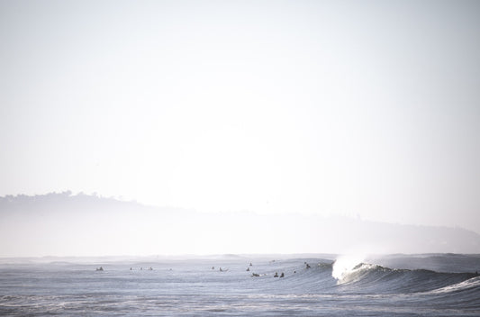 Photography by Kim Dybczak of: Cardiff 4143