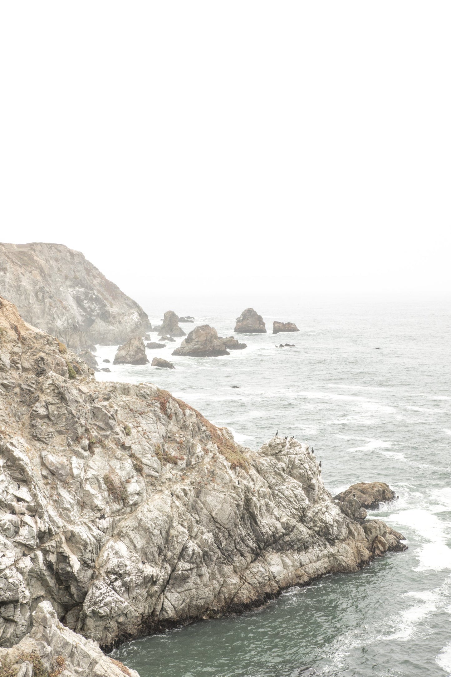 Photography by Salt Creek Prints of: Bodega Head 7724, Rugged serene coastline of Bodega Head, Bodega Bay, California