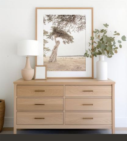 Framed photo of: Point Reyes 7157 displayed on a neutral wood dresser.