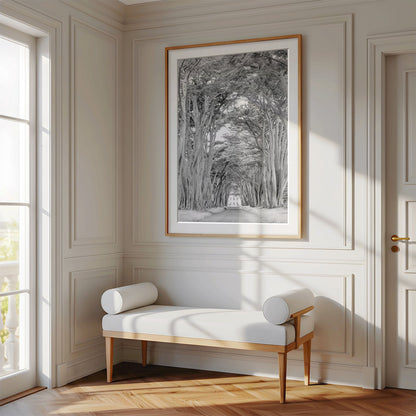 Framed photo of: Cypress Tree Tunnel 7171 on a wall above a bench in a luxury hallway. 