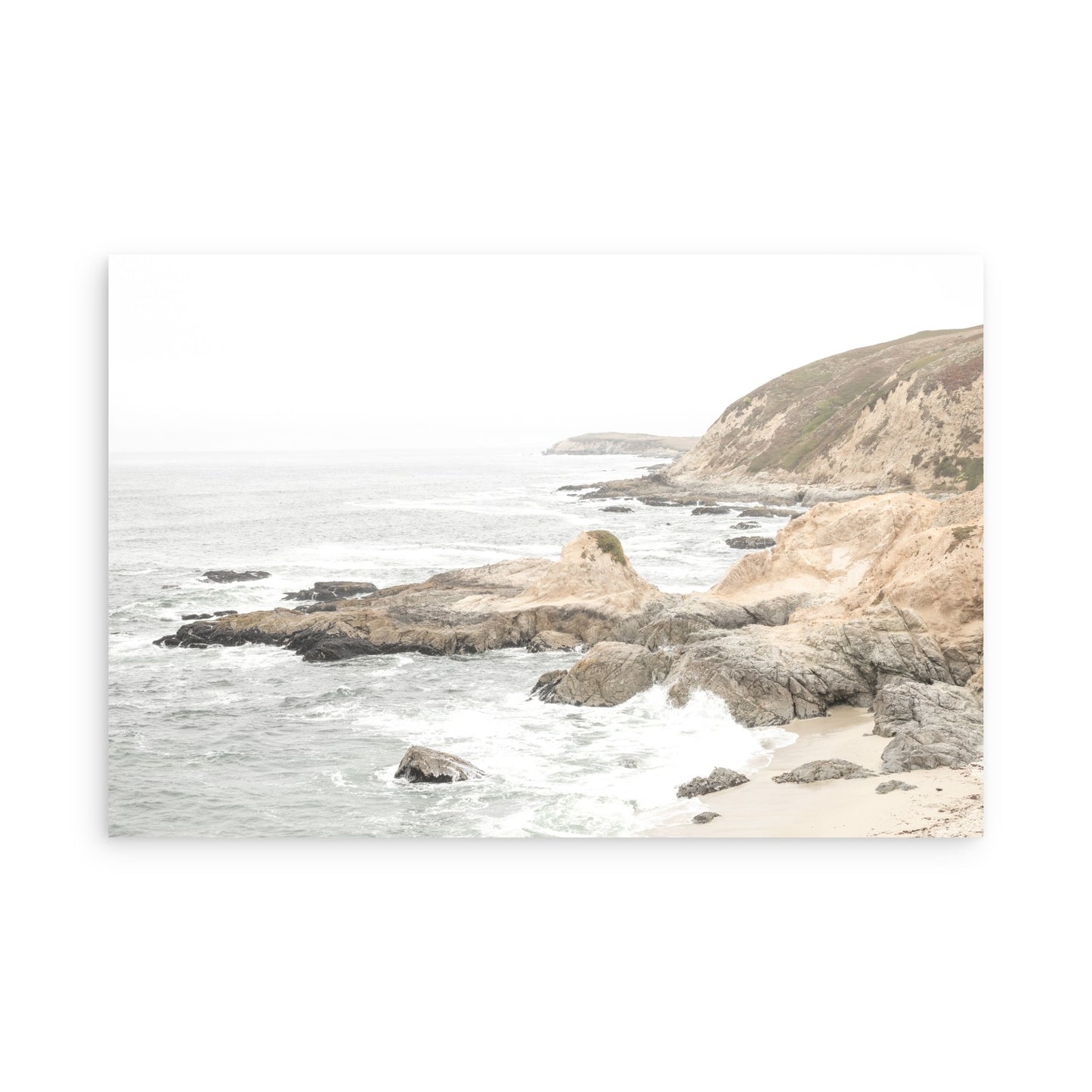 Bodega Head 7709