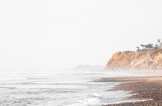 Photography by Kim Dybczak of: Torrey Pines 7118