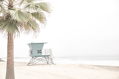 Photography by Kim Dybczak of: Coronado 6100
