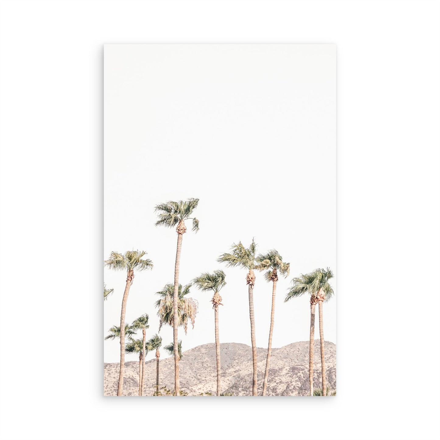 Palm Springs 2474