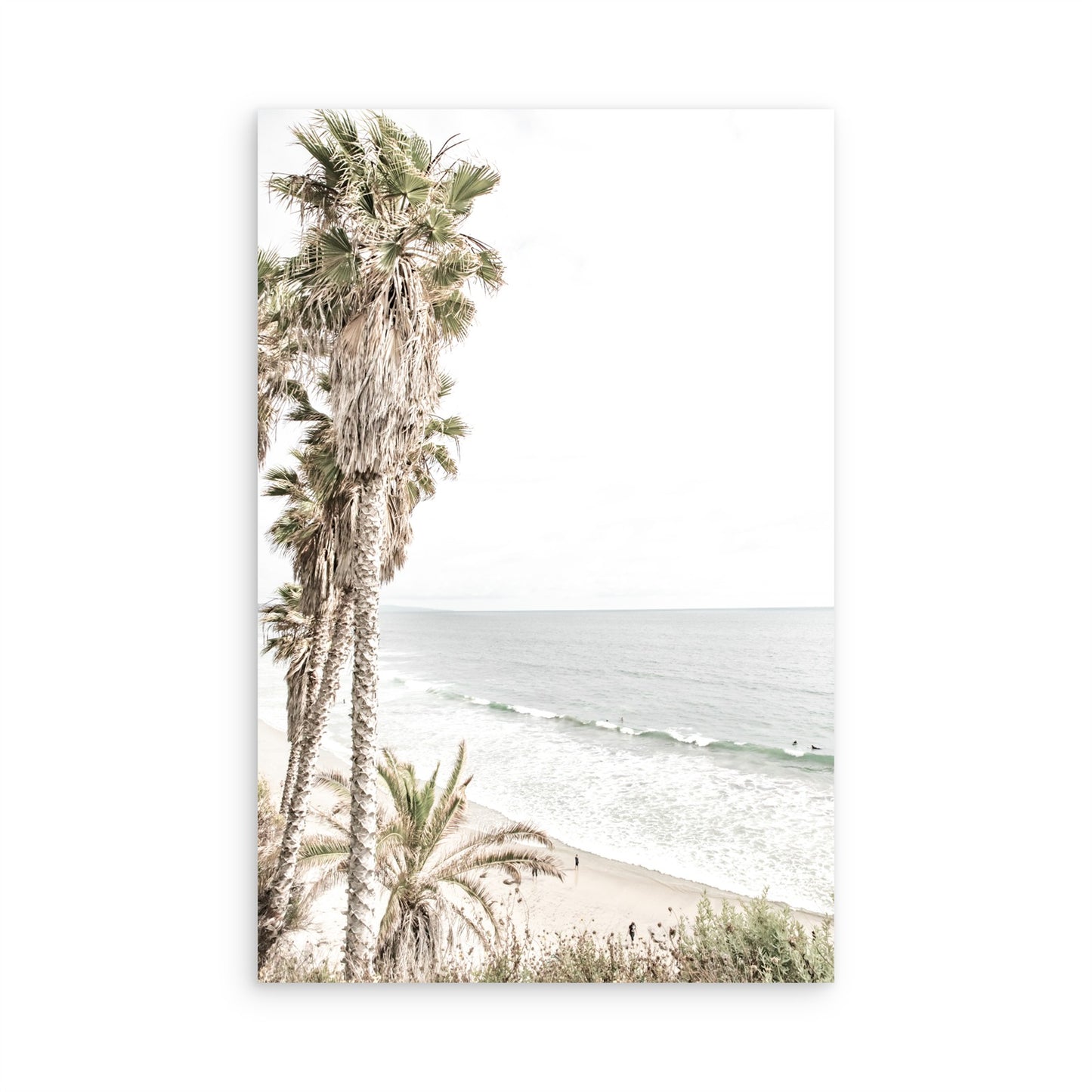 Swamis 5077