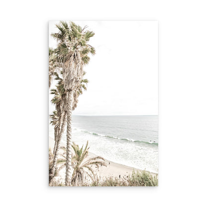 Swamis 5077