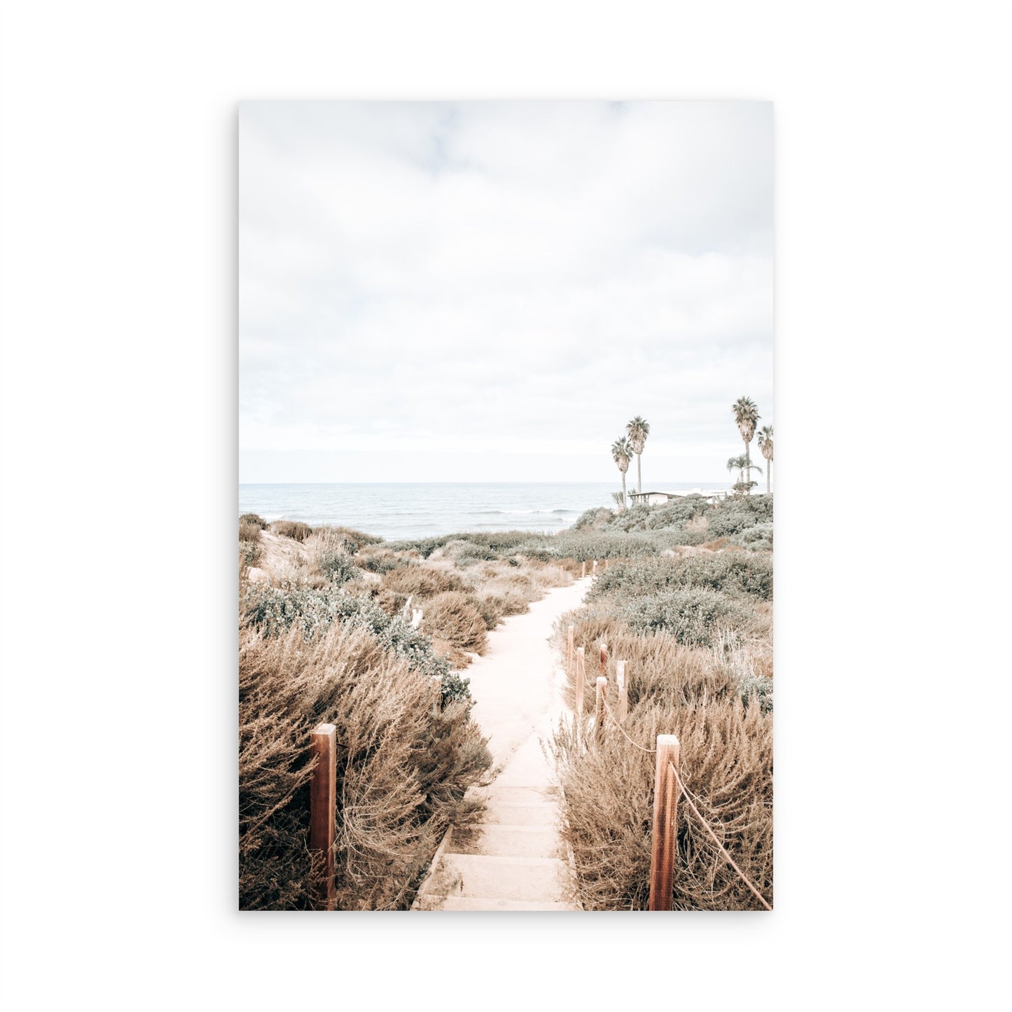 Sunset Cliffs 9168