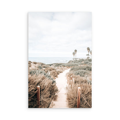 Sunset Cliffs 9168