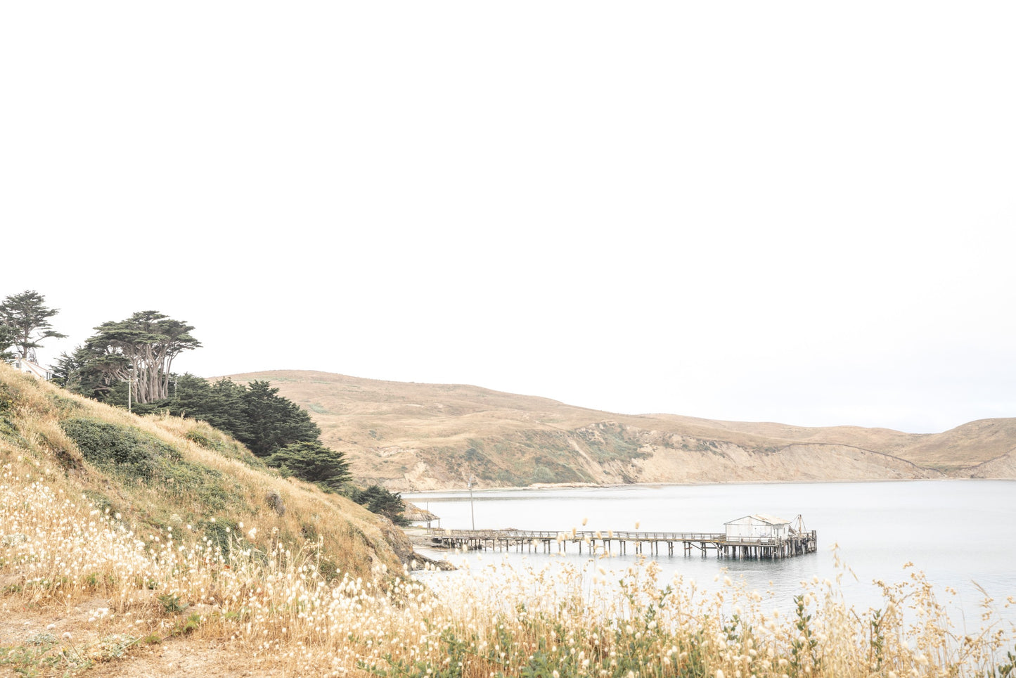 Photography by Salt Creek Prints of: Drakes Bay 7362, The rolling hills of Point Reyes above Drakes Bay, California.