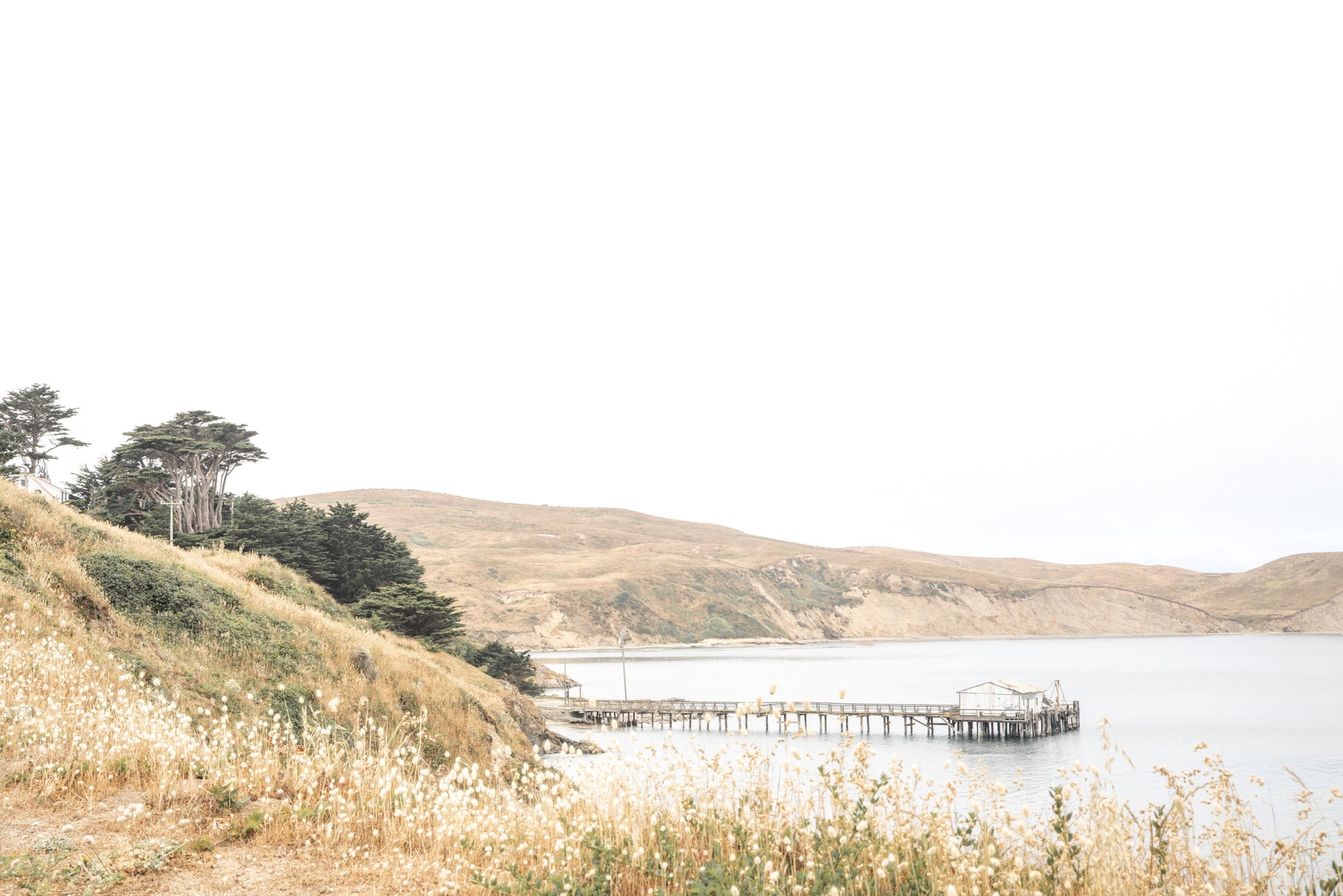 Photography by Salt Creek Prints of: Drakes Bay 7362, The rolling hills of Point Reyes above Drakes Bay, California.