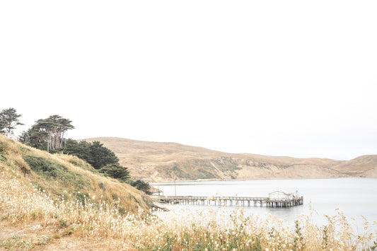 Photography by Salt Creek Prints of: Drakes Bay 7362, The rolling hills of Point Reyes above Drakes Bay, California.