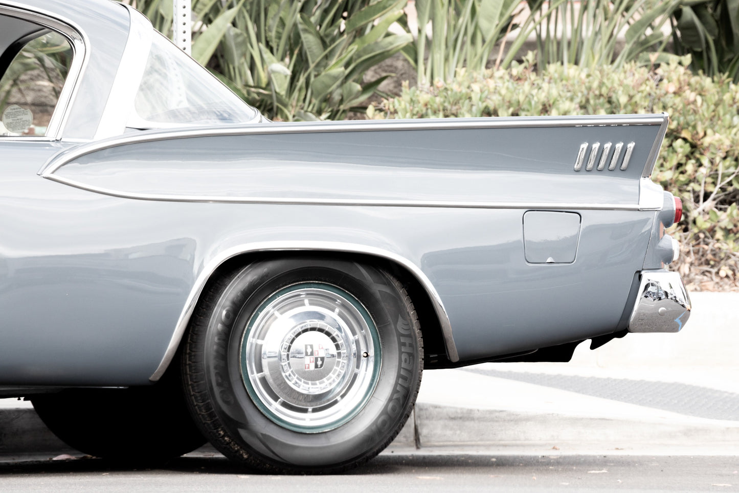 Photography by Salt Creek Prints of: Dodge Coronet 7783, Back end of a vintage Dodge Coronet in front of greenery.