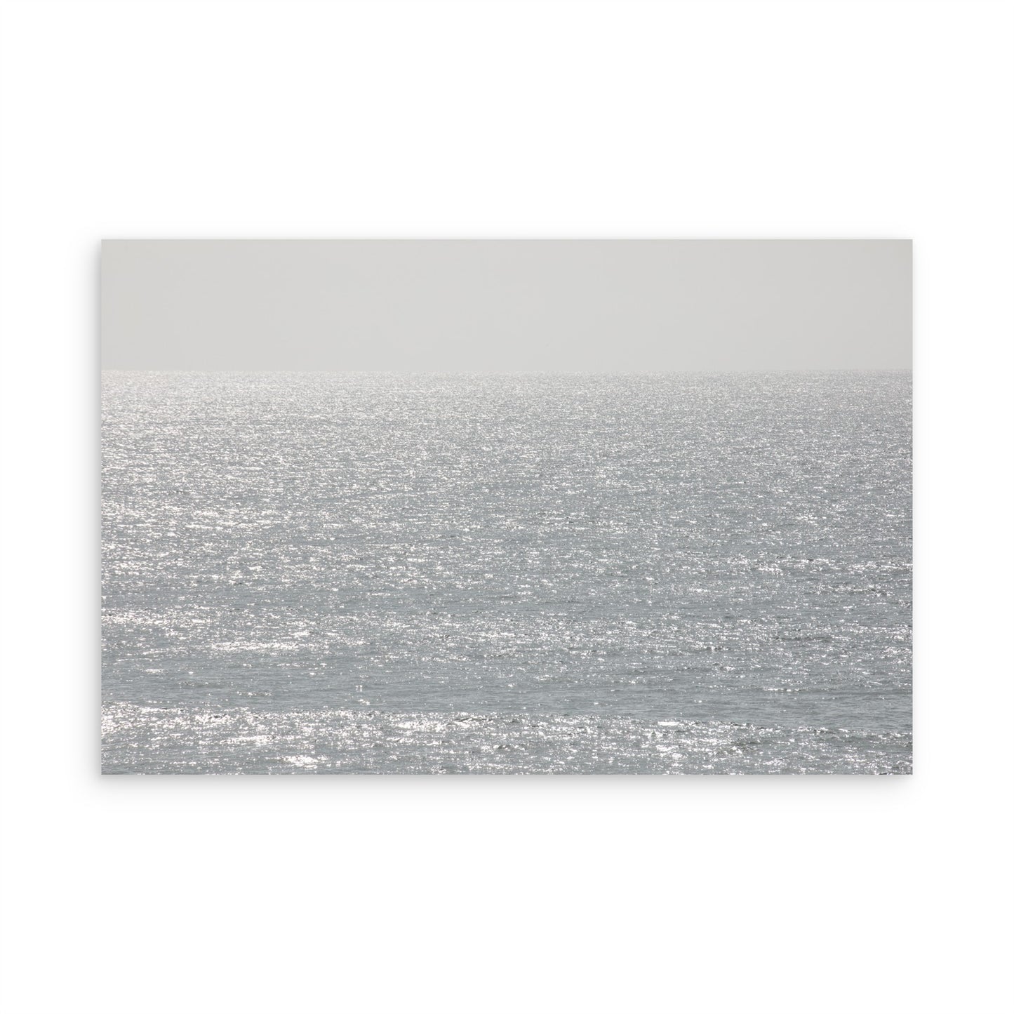 Leucadia 6169