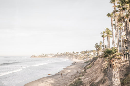 Photography by Kim Dybczak of: Palm trees line the coast at California, rising above the shoreline and open water.