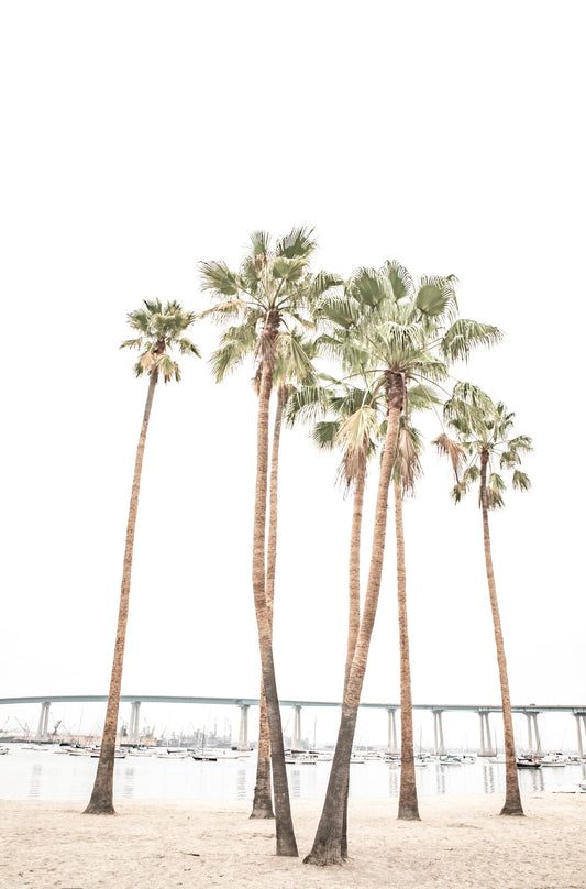 Photography by Kim Dybczak of: Coronado 5950