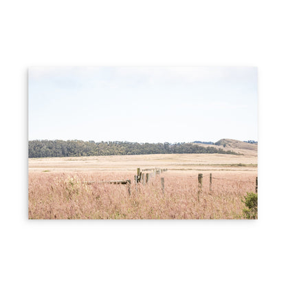 Point Reyes 7187